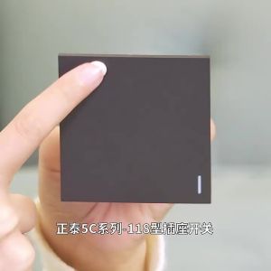 CHNT | USB Enabled Power Socket Module 118 type