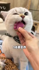 Bánh Thịt Xay Sấy Khô Hình Bàn Chân Dinh Dưỡng Cho Chó Mèo