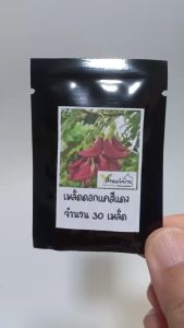 30 เมล็ด ดอกแคสีแดง (ต้นเตี้ย) แหรงแข็ง ดอกแคแดง เมล็ดดอกแค แคดอกแดง เมล็ดดอกแคสีแดง เมล็ดดอกแคแดง แค แคบ้าน ต้นแค แคบ้านดอกแดง แคแกง ดอกแค