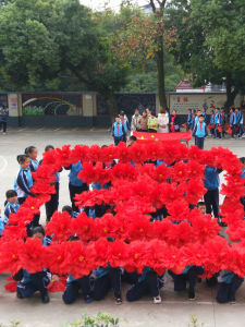 Đạo Cụ Biểu Diễn Khiêu Vũ Hoa Cẩm Chướng Cho Trẻ Em Cầm Tay Sân Khấu Thể Thao Thể Dục Dụng Cụ Thể Thao Biểu Diễn Khiêu Vũ