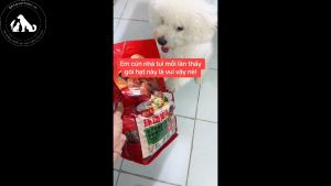 Thức Ăn Hạt Cho Chó Global Cuisine Kitchen Flavor Túi 1.5kg Trung Quốc