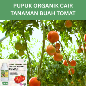 Pupuk Buah Tomat 250 ML /Pupuk Booster Tomat Cepat Berbuah Lebat/Pupuk Cair Tomat