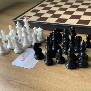 Lẻ Cờ Vua Quốc Tế - Lẻ quân cờ vua nam châm đẹp hiệu