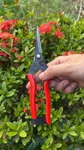 Kéo tỉa cành tỉa chồi cắt cành cây cắt hoa Nhật Bản K-10 lưỡi thép carbon cao cấp siêu bén siêu bền  (Made In Janpan)