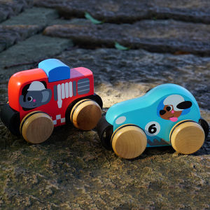 Wooden Educational Push Toy for Babies 1-3 Years