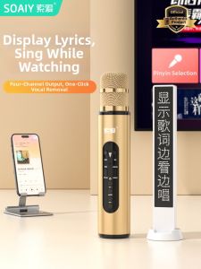 soaiy | Home KTV Wireless Microphone