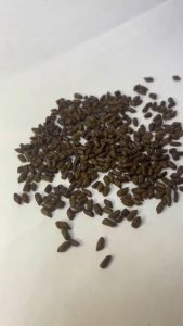 Wholesale 250g 500g 1kg cassia seed