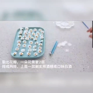 Edible Daisy Flower Paper / Edible Plain Butterfly / Wafer Flower Cake Decoration