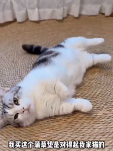 Pet Scratching Board Cat Scratcher Sisal Mat Anti-Slip Cats Sleeping Pad for Protecting Furniture Cat Scratch Board Round Hand Cat Scratcher Mat Braided Rug Cat Claw Board Mattress