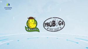 Probugs Riceworms (15g) - Nutritious Treat for Betta Fish & Reptiles All-Natural & Fresh!