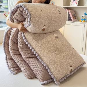 Thickened Warmth Blanket For All Seasons