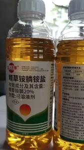 ( Fast removal )20% Ammonium Glufosinate Ammonium Salt Orchard Herbicide Glufosinate Ammonium Phosphorus Oxalis Grass Small Flying Puff Agricultural Herbicide Wholesale
