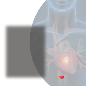 Anatomy & Physiology - 9789815200058 - C&E Bookshop