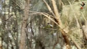 K170 RC Helicopter UH-60L 2.4G 4CH 6-Axis Gyro Brushless Motor Military Green RC Aircraft Drone Toys