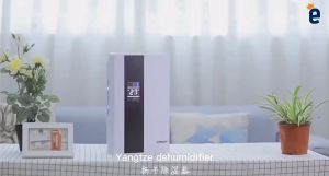 【Local delivery】除湿机 New Air Dehumidifier 24 Timed Air Purifier Automatic Household Bedroom Mini-dehumidifier with Remote Control Basement Dehumidifier Dehumidifier Dehumidifier Absorber