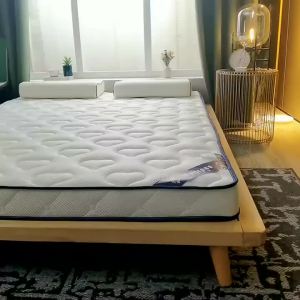 Nanjiren (NanJiren) Latex Mattress Dormitory Bed Mattress Soft Pad Folding Single Student Mattress Double Tatami Floor Sleeping Mat