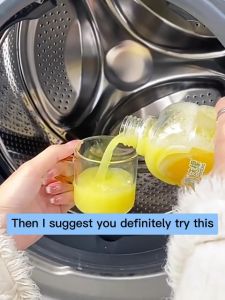 washing machine cleaner 1L lemon fragrant washing machine cleaning deodorization remove dirt tub detergent Sochiman Clean kill germs get rid of musty smells