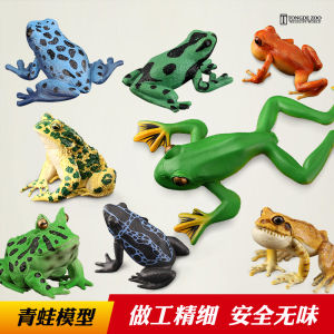 ของเล่นตัวอย่างแมลงวันแบบจำลอง ของเล่นเด็ก แมลงวันต้นไม้ แมลงวันพิษ แมลงวันนา กระต่าย แมลงวัน ของเล่นสำหรับเด็ก