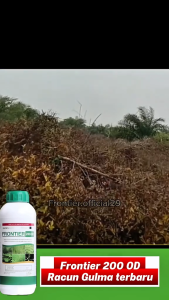 Frontier Herbicide 200 OD 1L for Post-Emergent Weed Control in Rice Fields
