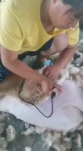 380W Cashmere Goat Shearer 12V Cordless Household Pet (Cat Dog Rabbit Sheep) Hair Trimmer Electric Carpet Tufting Trimmer
