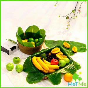 ใบตองใส่อาหาร ใบบัวจำลอง จานผลไม้ ใบตองปลอม แผ่นรองจานถ่ายภาพ ใบตองเทียมรองอาหาร ใบตองมือใช้จากเนื้อเยื่อ MetMe