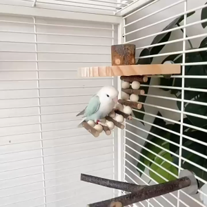🇸🇬 Bird Perch Feeder with Pine Corn Wooden Perch: Parrot Feeding Bowls