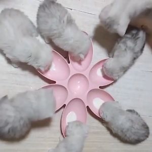 Tyra Cat Food Bowl For Dog Puppy Kitten Feeder Pet Bowl Flower Food Drinking Bowl