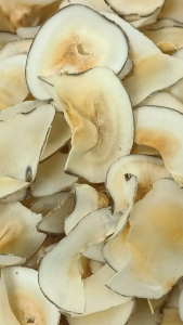 海底椰干 100g Dried Sea Coconut 海底椰片