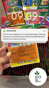 ทวี5 20 กรัม *ซองขนาดเล็ก* ตราเที่ยงตรง อีมาเมกตินเบนโซเอต กำจัดแมลง หนอนหนังเหนียว ถูกตัวตายกินตาย หนอน เพลี้ย ข้าวโพด หนอนเจาะดอก หนอนเจาะผล หนอนกระทู้ เพลี้ยไฟ