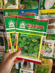 Hạt giống rau má hàng công ty