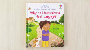 LILGLEE usborne why do i feel angry? 12 pages English Picture Book Book for Children Lift-the-Flap Story Book