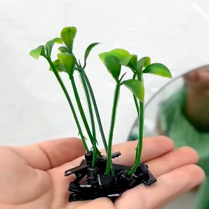 20Pcs Artificial Bean Bud Hairpin Cute Girls and Kids with Grass On Their Heads Artificial Bean Sprouts Hairpin