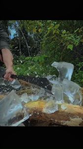 [SAMLEE M2222 HQ] T-Rex Knife With Cover [14"/12"_Pisau Heavy Duty Hacksaw Steel] T-REX Handle_BERSARUNG 霸王龙刀