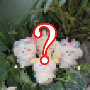 Bandai | Móc Khóa Thú Bông Chủ Đề Du Lịch Kawaii Ckw Búp Bê Nhỏ Usagi Hachiware Đáng Yêu Phụ Kiện Trang Trí Treo Túi Phụ Kiện Anime