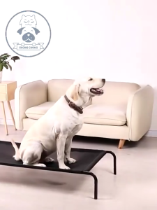 Stronger Elevated Dog Bed Large Pet Bed Breathable and Moisture Resistant Washable Affordable