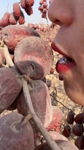 Táo đỏ Tân Cương túi 1kg đồ ăn vặt nhà Lets Nuts quả chắc dẻo mềm ngọt túi zip hợp vệ sinh