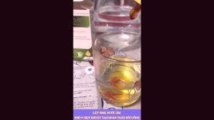 Nano Curcumin NOVASOL duocsi_giangle 100% Tinh Chất Siêu Nano Dạng Lỏng Nhập Khẩu Đức Giảm Đau Nhanh Lành Vết Loét Tốt Cho Dạ Dày