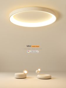 Modern Creative LED Ceiling Light