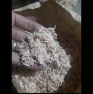 Ikan Asin Udang Rebon Kering Murah 1 KG