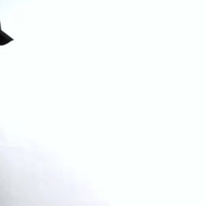 Tas Daypack Ransel Laptop Zarventure Alves Bergaransi Resmi 1 Tahun