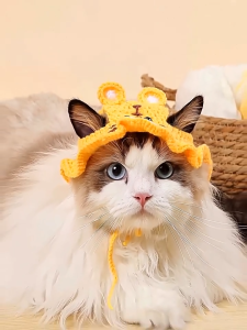 Cute Dog Headgear Knitting Cat Hat Headdress Funny Pet Dress Up