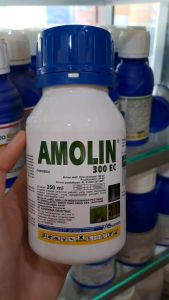 AMOLIN 300 EC FUNGISIDA PENGENDALI PENYAKIT