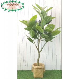 Pohon Imitasi Pohon Hias Magnolia Latex Cover Purun Sintetis Dekorasi Ruangan Dekorasi Sudut Cafe Aesthetic