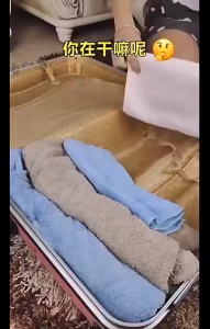 Portable Mini Compressed Towel Disposable Bath TowelNon-woven Mesh Travel Wash Face Towel