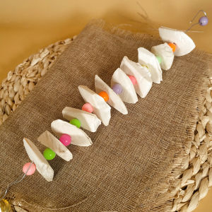 Large Chunk Squid Bone Bite Toy Parrot Special Small Sunflower Seed Snack Grinding Beak Chewing Toy Pigeon Peacock Quail