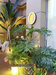 JUYU | Waterproof Solar Powered Moon Lamp 24V