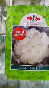 Benih burkol aquina f1 10 gram