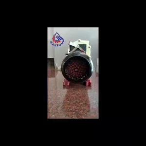 MAXPUMP 40FS20(Z)-220volt Pompa Kimia Hisap Asam CHEMICAL PUMP POMPA INDUSTRI BERKUALITAS POMPA HISAP CAIRAN AIR ASAM Chemical Pump 220 Volt 2 hp