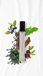 Upgrade DOTTICOTTI ESPRIT EDP for Him 50ML - Woody Aromatic scent of Long-Lasting Perfume
