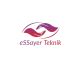 eSSayer Teknik